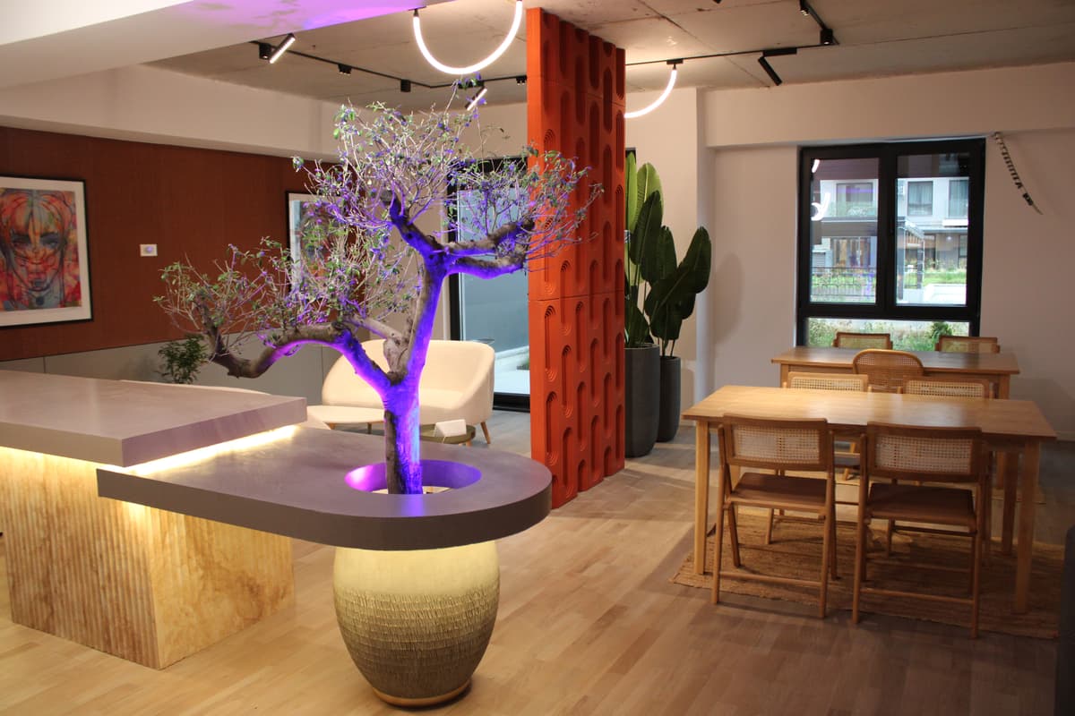 Modern coworking space with reception area